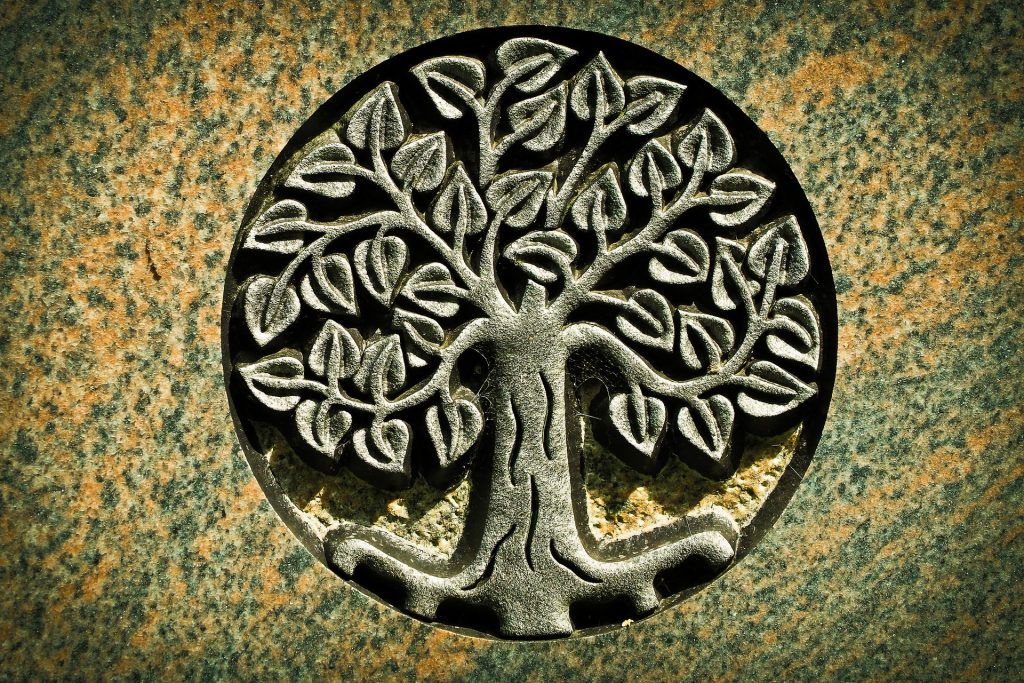 arbol de la vida